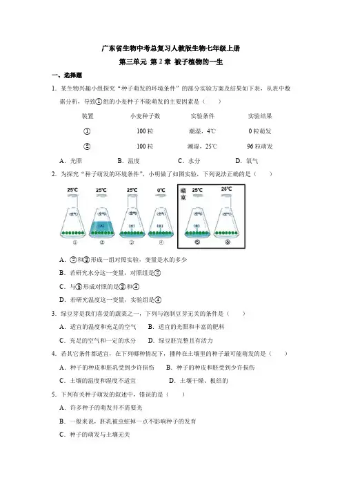 广东省生物中考总复习 第2章 被子植物的一生(解析版)