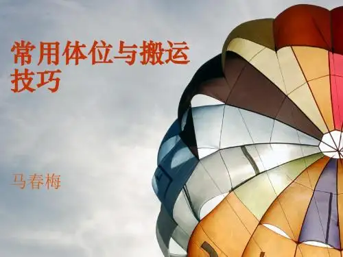 常用体位搬运技巧.幻灯片概诉