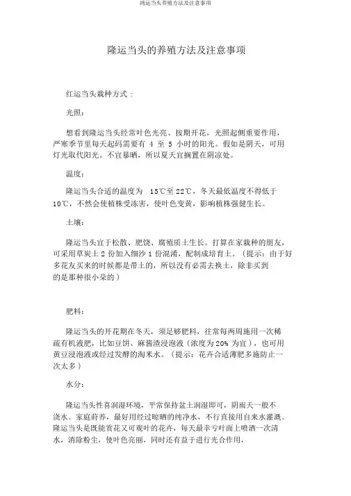 鸿运当头养殖方法及注意事项