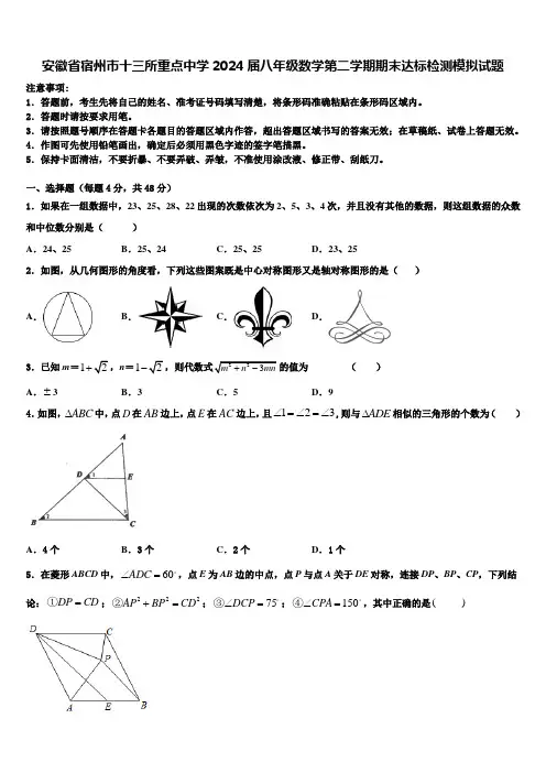 安徽省宿州市十三所重点中学2024届八年级数学第二学期期末达标检测模拟试题含解析