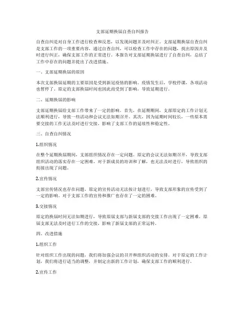 支部延期换届自查自纠报告