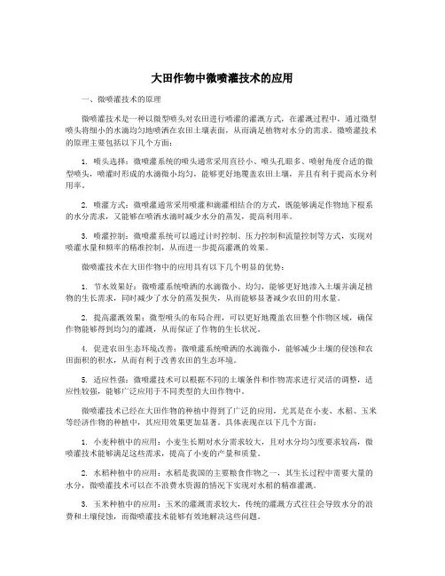 大田作物中微喷灌技术的应用
