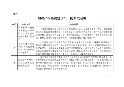 知识产权强国建设第一批典型案例