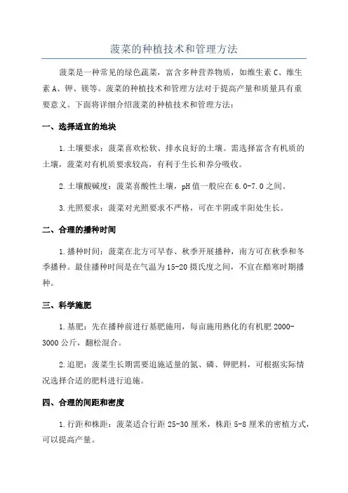 菠菜的种植技术和管理方法