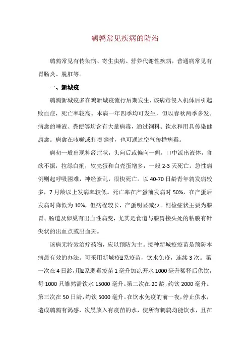 鹌鹑常见疾病的防治
