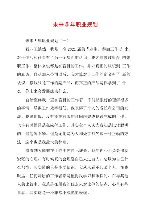 未来5年职业规划