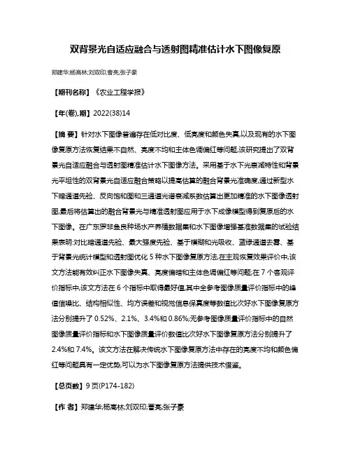 双背景光自适应融合与透射图精准估计水下图像复原