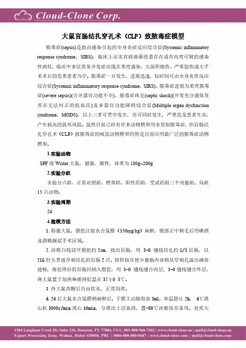大鼠脓毒症模型