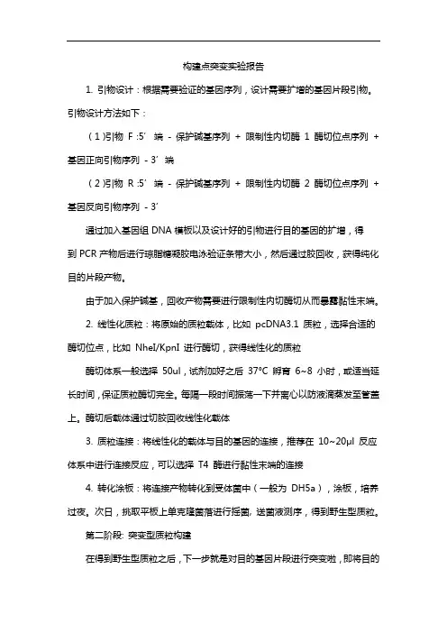构建点突变实验报告