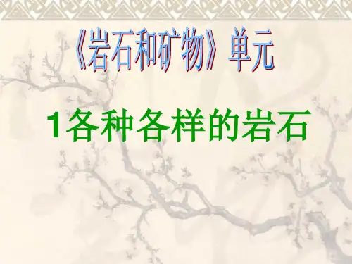 科学四年级下教科版1《各种各样的岩石》课件(13张)