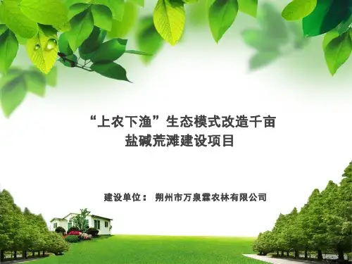盐碱地综合治理项目可行性报告