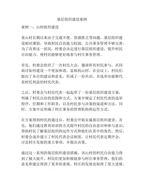 基层组织建设案例