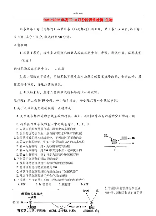 2021-2022年高三10月份阶段性检测 生物