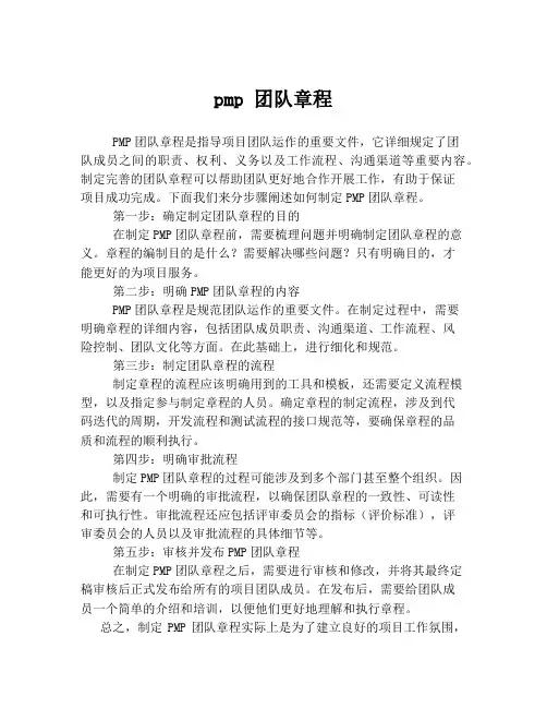 pmp 团队章程