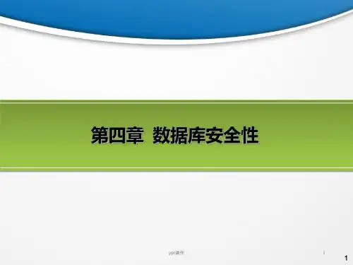 数据库安全性  ppt课件