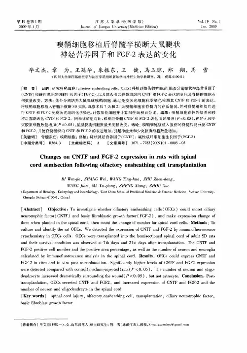 嗅鞘细胞移植后脊髓半横断大鼠睫状神经营养因子和FGF-2表达的变化