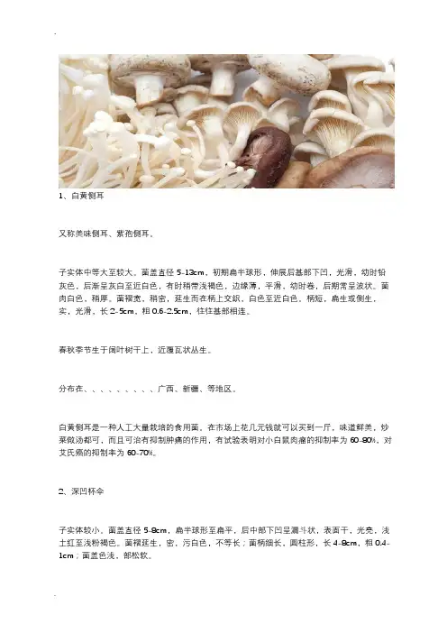 54种食用蘑菇的种类