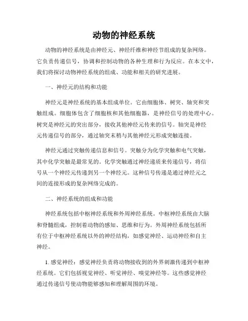 动物的神经系统
