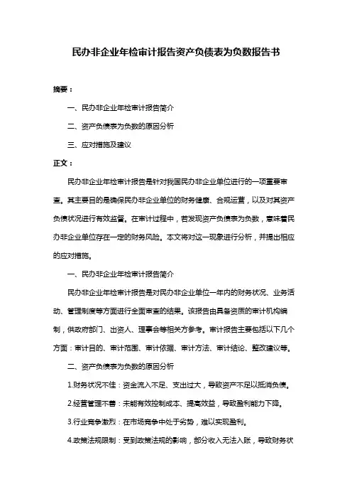 民办非企业年检审计报告资产负债表为负数报告书
