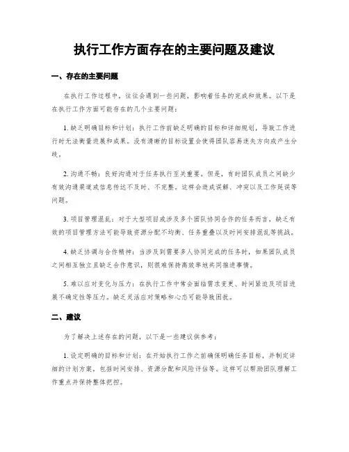 执行工作方面存在的主要问题及建议