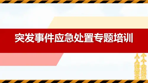 突发事件应急处置专题培训
