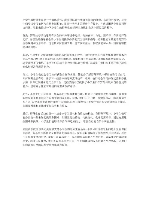 小学生的野外生存