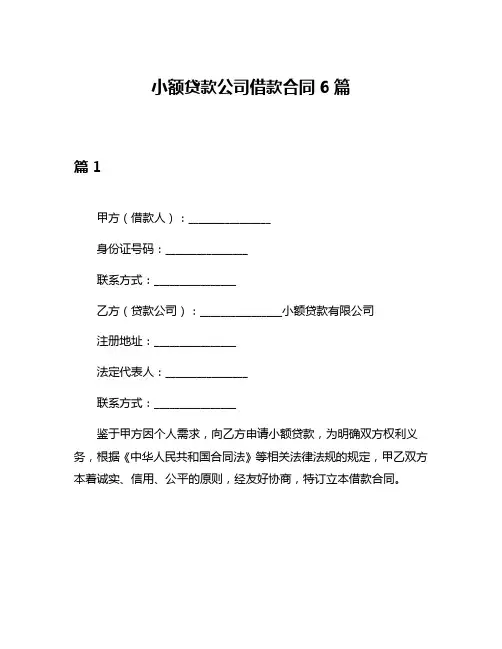 小额贷款公司借款合同6篇