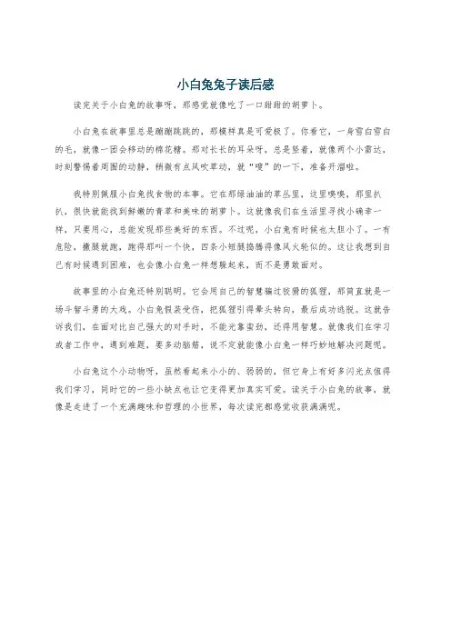 小白兔兔子读后感