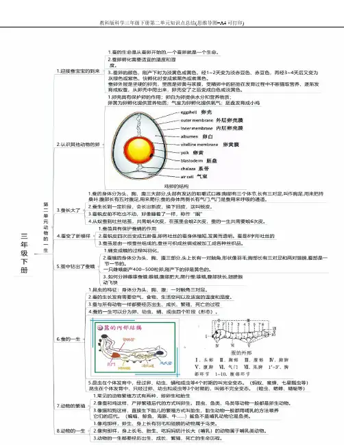 教科版科学三年级下册第二单元知识点总结(思维导图=A4可打印)