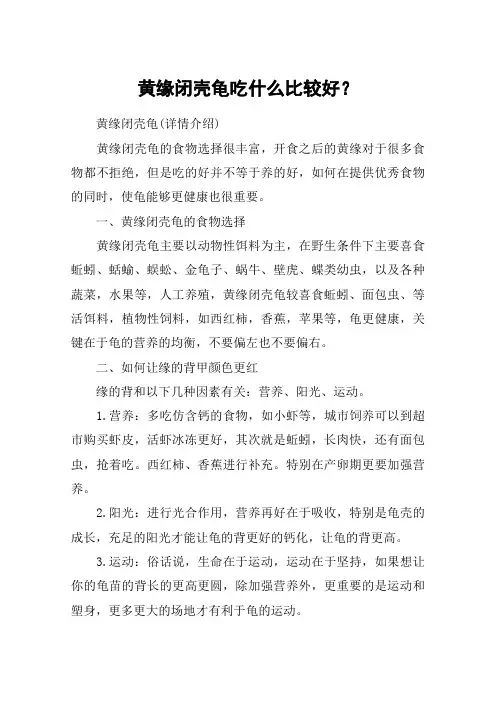 黄缘闭壳龟吃什么比较好？