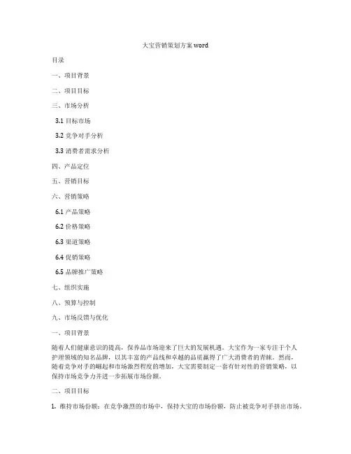 大宝营销策划方案word