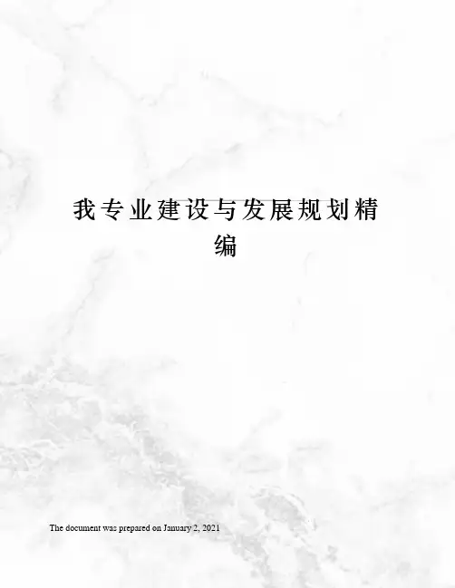 我专业建设与发展规划精编