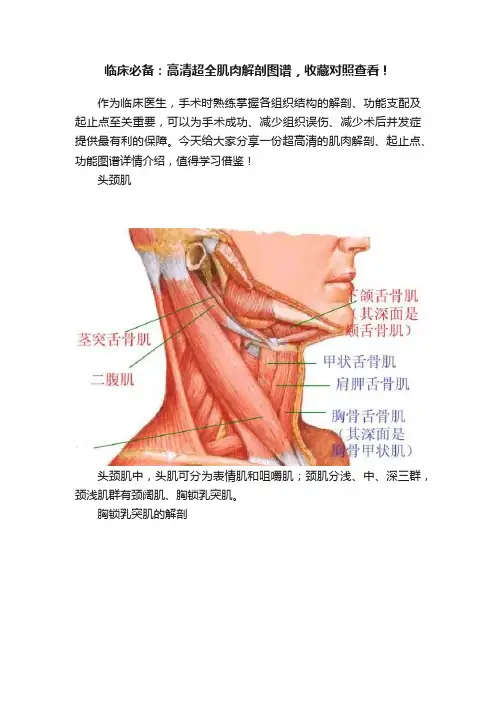 临床必备：高清超全肌肉解剖图谱，收藏对照查看！