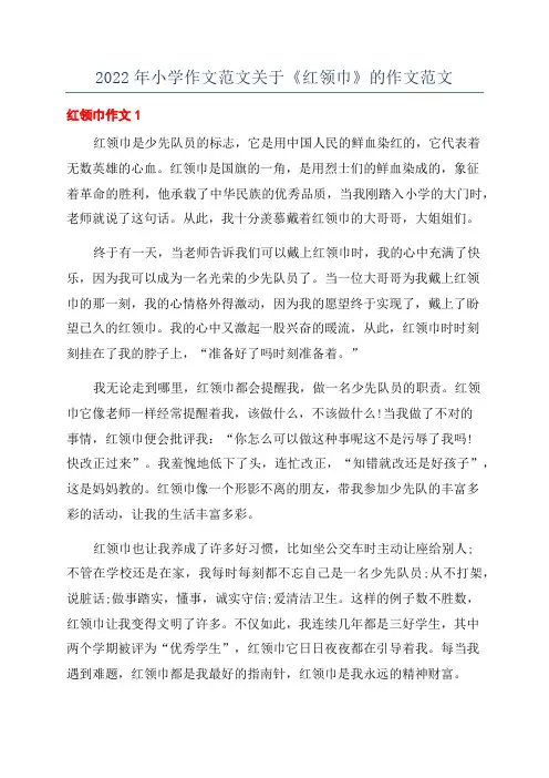 2022年小学作文范文关于《红领巾》的作文范文