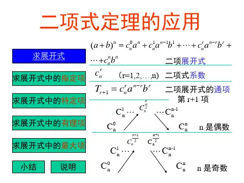 二项式定理的应用(PPT)3-2