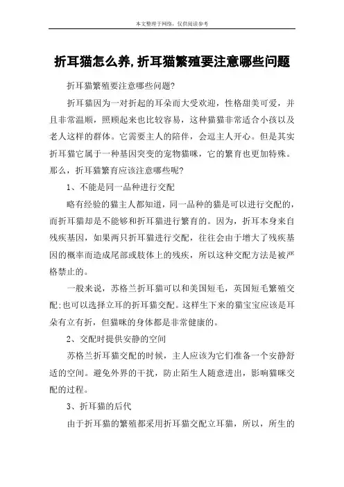 折耳猫怎么养,折耳猫繁殖要注意哪些问题