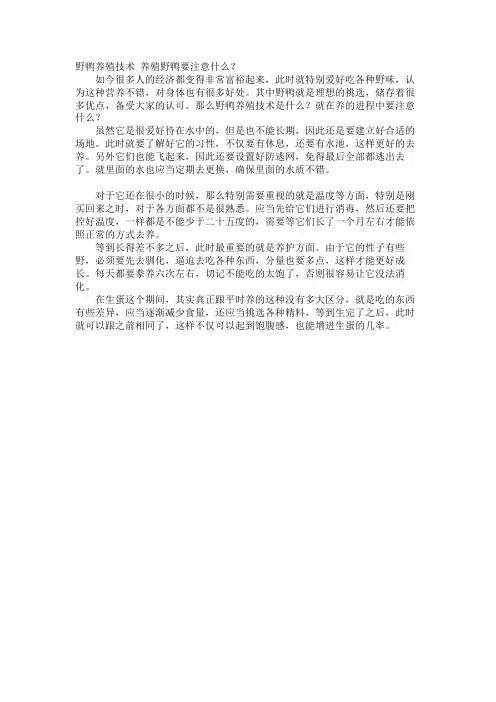 野鸭养殖技术 养殖野鸭要注意什么？