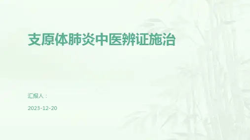 支原体肺炎中医辨证施治