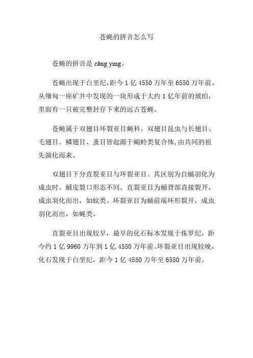 苍蝇的拼音怎么写