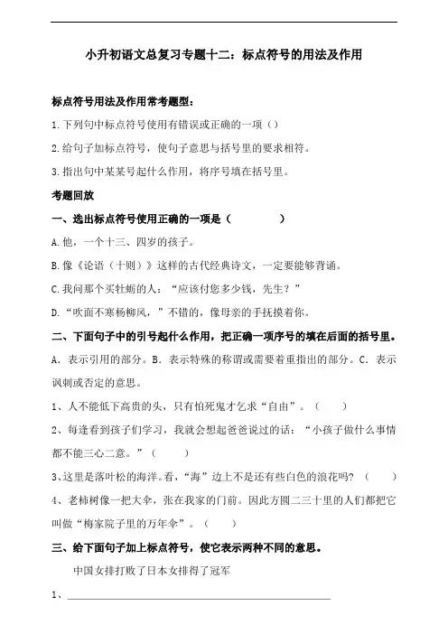 人教统编版小升初语文总复习专题十二·标点符号的用法及其作用同步练习(含答案)