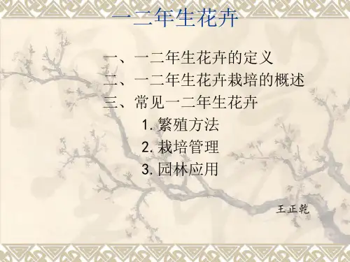 一二年生花卉