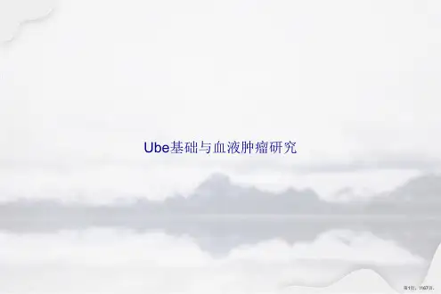 Ube基础与血液肿瘤研究讲课文档