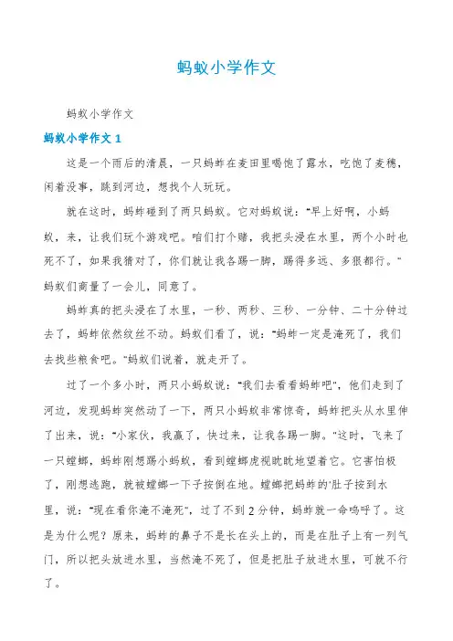 蚂蚁小学作文