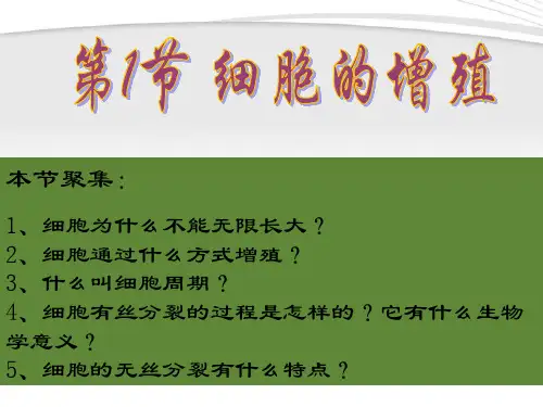 第六章第一节细胞的增殖