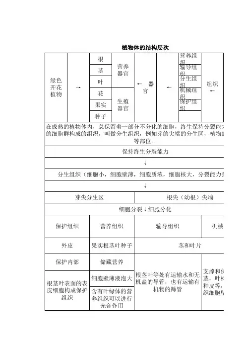 植物体的结构层次