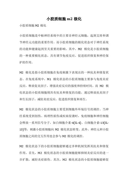 小胶质细胞m2极化