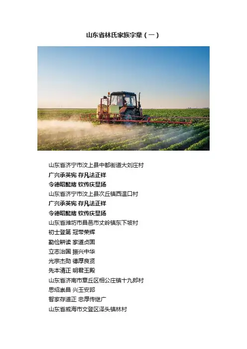 山东省林氏家族字辈（一）