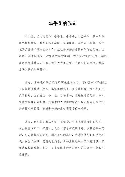 牵牛花的作文