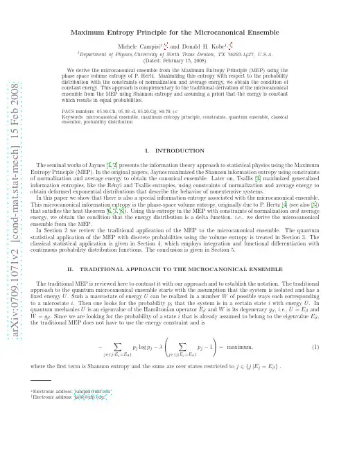 Maximum Entropy Principle for the Microcanonical Ensemble