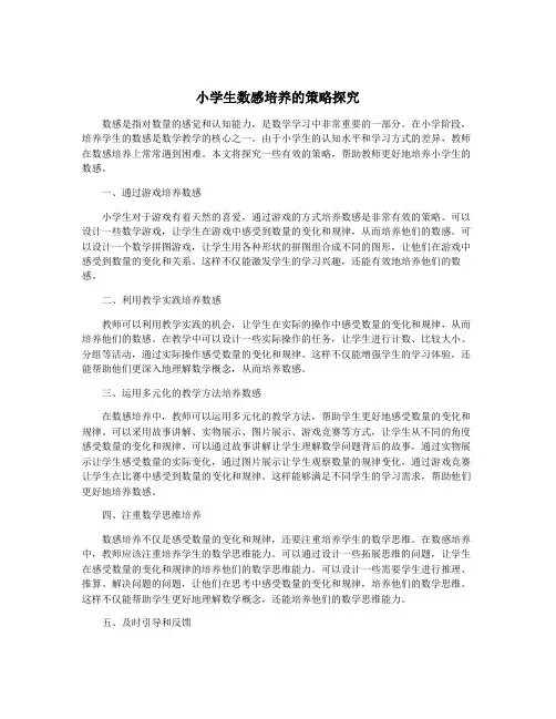 小学生数感培养的策略探究
